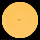 SDO/HMI Continuum Image of the Sun